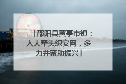 邵阳县黄亭市镇：人大牵头织安网，多力并聚助振兴