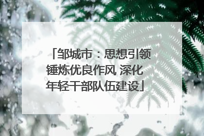 邹城市：思想引领锤炼优良作风 深化年轻干部队伍建设