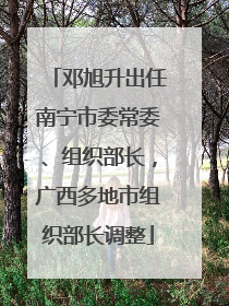 邓旭升出任南宁市委常委、组织部长，广西多地市组织部长调整