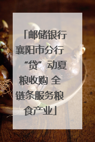 邮储银行襄阳市分行“贷”动夏粮收购 全链条服务粮食产业