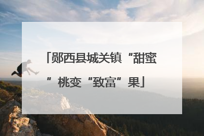 郧西县城关镇“甜蜜”桃变“致富”果