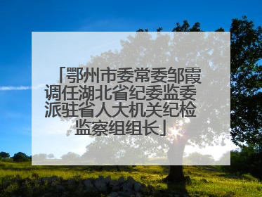 鄂州市委常委邹霞调任湖北省纪委监委派驻省人大机关纪检监察组组长