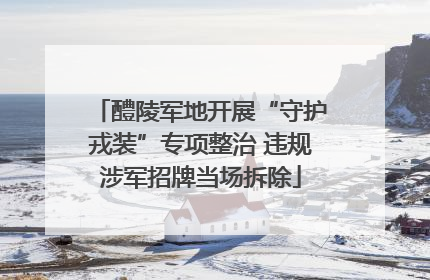 醴陵军地开展“守护戎装”专项整治 违规涉军招牌当场拆除