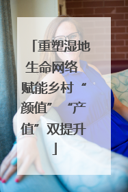 重塑湿地生命网络 赋能乡村“颜值”“产值”双提升