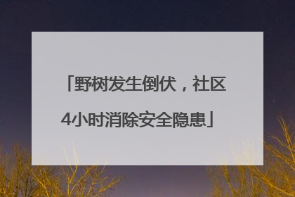 野树发生倒伏，社区4小时消除安全隐患