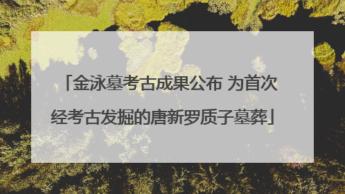 金泳墓考古成果公布 为首次经考古发掘的唐新罗质子墓葬