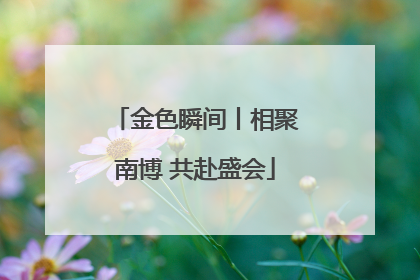金色瞬间丨相聚南博 共赴盛会
