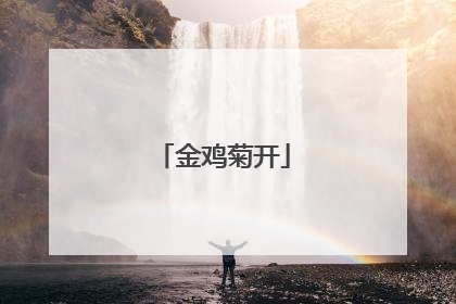金鸡菊开