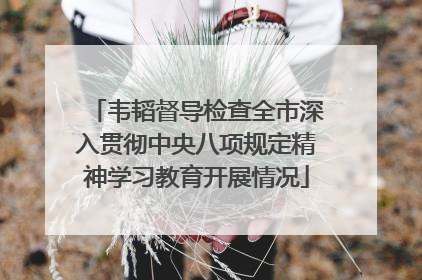 韦韬督导检查全市深入贯彻中央八项规定精神学习教育开展情况