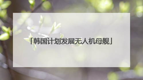 韩国计划发展无人机母舰