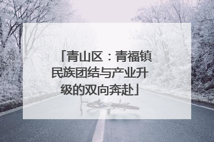 青山区：青福镇民族团结与产业升级的双向奔赴