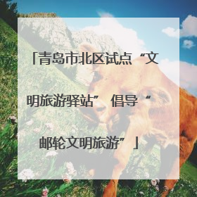 青岛市北区试点“文明旅游驿站” 倡导“邮轮文明旅游”