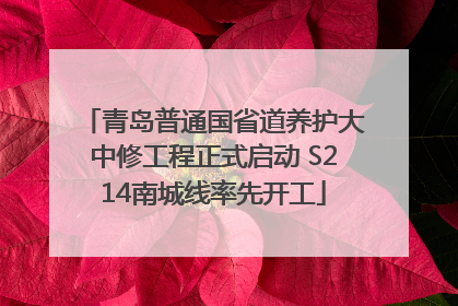 青岛普通国省道养护大中修工程正式启动 S214南城线率先开工