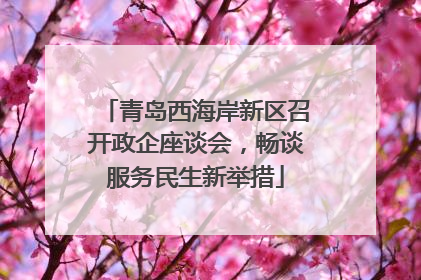 青岛西海岸新区召开政企座谈会，畅谈服务民生新举措
