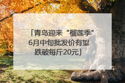 青岛迎来“榴莲季” 6月中旬批发价有望跌破每斤20元