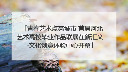 青春艺术点亮城市 首届河北艺术高校毕业作品联展在新汇文·文化创意体验中心开幕