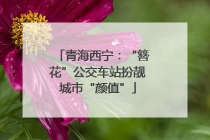 青海西宁：“簪花”公交车站扮靓城市“颜值”