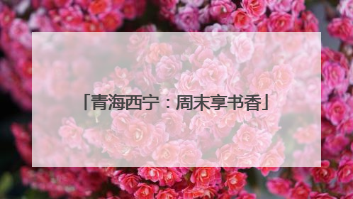 青海西宁：周末享书香