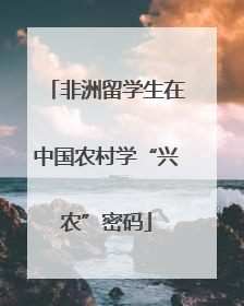 非洲留学生在中国农村学“兴农”密码