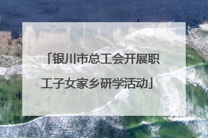 银川市总工会开展职工子女家乡研学活动