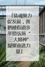 铸魂聚力促发展，黄鹤楼街道多举措弘扬“三大精神”凝聚奋进力量