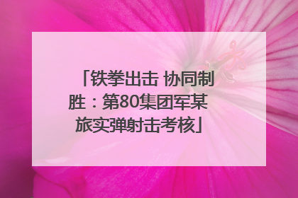 铁拳出击 协同制胜：第80集团军某旅实弹射击考核