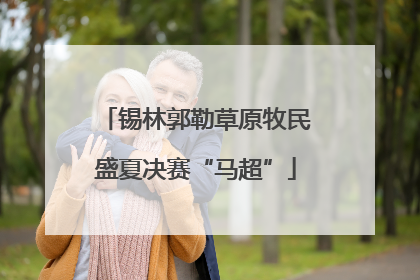 锡林郭勒草原牧民盛夏决赛“马超”