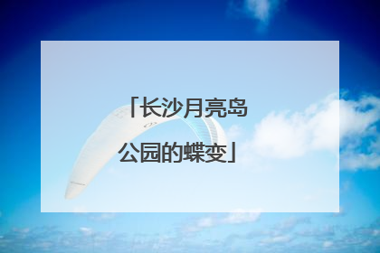 长沙月亮岛公园的蝶变