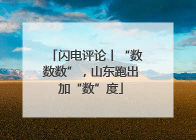 闪电评论丨“数数数”，山东跑出加“数”度