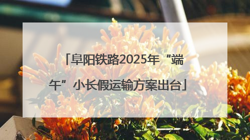 阜阳铁路2025年“端午”小长假运输方案出台