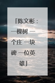 陈文彬：一棵树 一个庄 一块碑 一位英雄