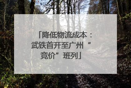降低物流成本：武铁首开至广州“竞价”班列