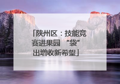 陕州区：技能竞赛进果园 “袋”出增收新希望