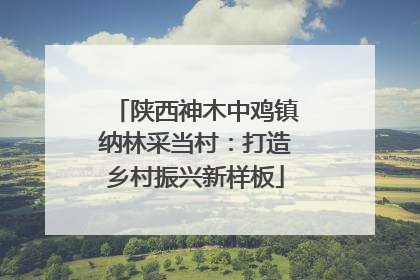陕西神木中鸡镇纳林采当村：打造乡村振兴新样板
