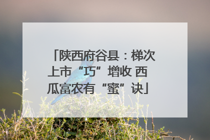 陕西府谷县：梯次上市“巧”增收 西瓜富农有“蜜”诀
