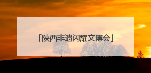 陕西非遗闪耀文博会