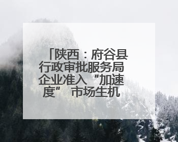 陕西：府谷县行政审批服务局企业准入“加速度” 市场生机“更盎然”