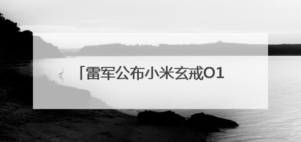 雷军公布小米玄戒O1旗舰处理器创始纪念品 芯片设计图镌刻铝板