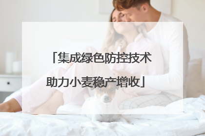 集成绿色防控技术助力小麦稳产增收
