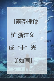 雨季插秧忙 浙江文成“丰”光美如画