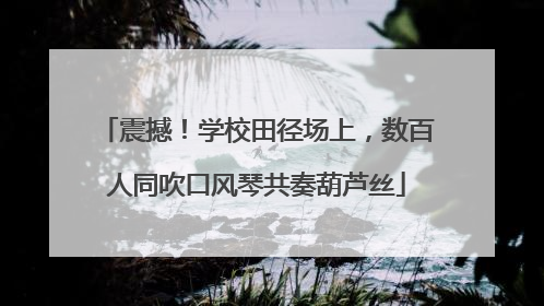 震撼！学校田径场上，数百人同吹口风琴共奏葫芦丝