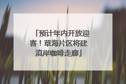 预计年内开放迎客！草海片区将建滇岸咖啡走廊