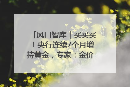 风口智库｜买买买！央行连续7个月增持黄金，专家：金价或仍易涨难跌