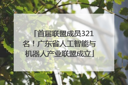 首届联盟成员321名！广东省人工智能与机器人产业联盟成立