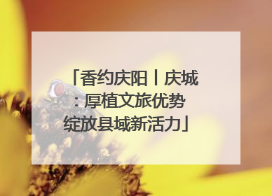 香约庆阳丨庆城：厚植文旅优势 绽放县域新活力