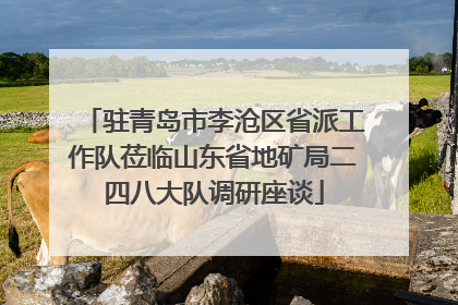 驻青岛市李沧区省派工作队莅临山东省地矿局二四八大队调研座谈