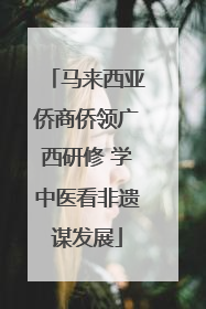 马来西亚侨商侨领广西研修 学中医看非遗谋发展
