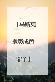 马斯克抱怨成替罪羊