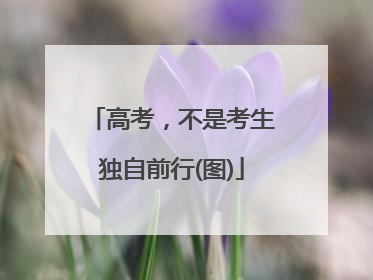 高考，不是考生独自前行(图)
