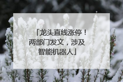 龙头直线涨停！两部门发文，涉及智能机器人